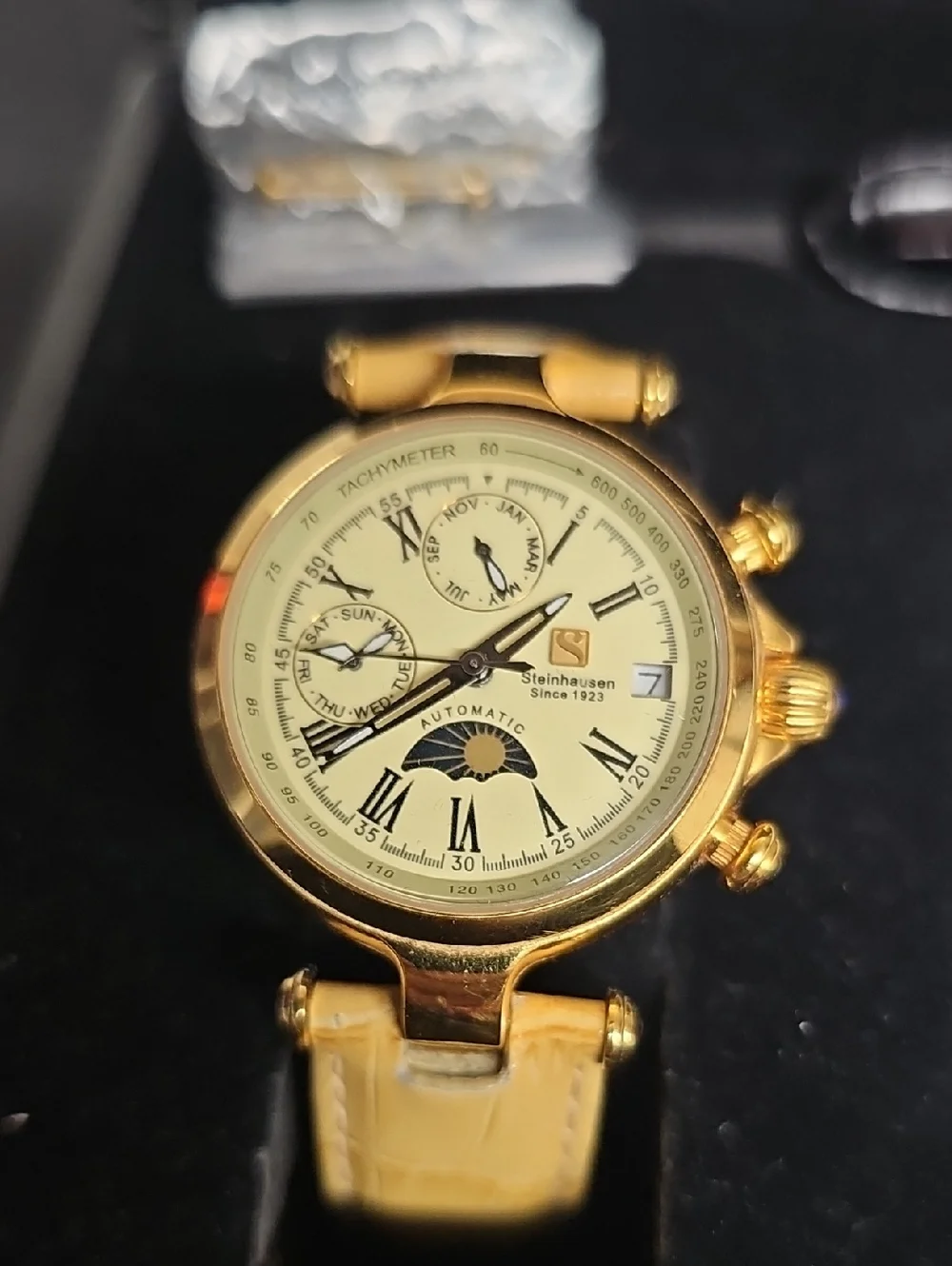 STEINHAUSEN MODEL TW691G MENS WRISTWATCH BFPM-06-043
